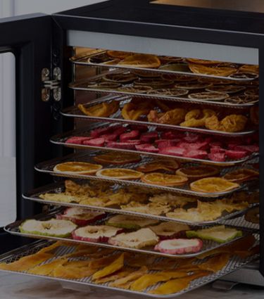 food dehydrator banner